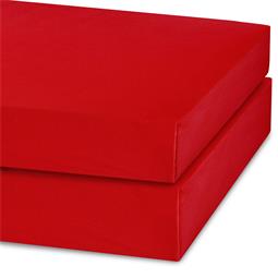 CelinaTex Spannbettlaken Mikrofaser Jersey Jade Doppelpack rubin rot 90x200 - 100x200
